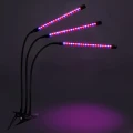 lampa-led-do-wzrostu-roslin-60-diod-timer-24-w-z-zasilaczem-marka-jumi-fioletowe-swiatlo.webp