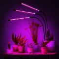 lampa-led-do-wzrostu-roslin-60-diod-timer-24-w-z-zasilaczem-marka-jumi-wizualizacja-oswietlenia.webp