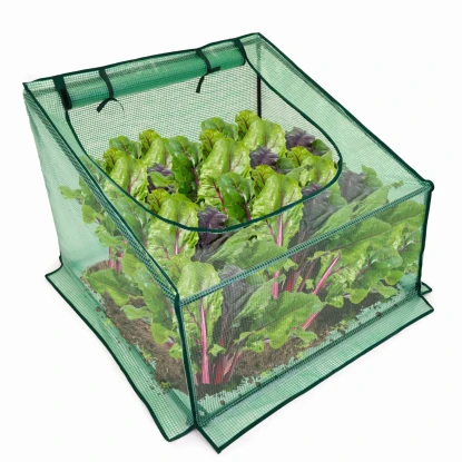 Mini szklarnia 70x90 cm do uprawy roślin