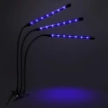 lampa-led-do-wzrostu-roslin-60-diod-timer-24-w-bez-zasilacza-sieciowego-marka-jumi-niebieskie-swiatlo.webp