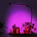 lampa-led-do-wzrostu-roslin-20-diod-timer-9-w-bez-zasilacza-sieciowego-marka-jumi-wizualizacja.webp