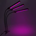 lampa-led-do-zwrostu-roslin-72-diod-timer-25-w-z-zasilaczem-sieciowym-marka-jumi-fioletowe-swiatlo.webp