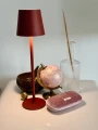 czerwona-lampka-led-dekoracyjna-na-komodzie.webp