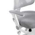 CM-599239_a mini.webp