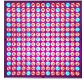 lampa-do-roslin-panel-225-led-diody-czerwone-niebieskie.webp