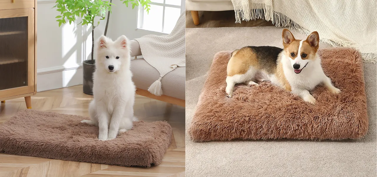 legowiska dla psów i kotów w jumi - różne kolory i wzory 