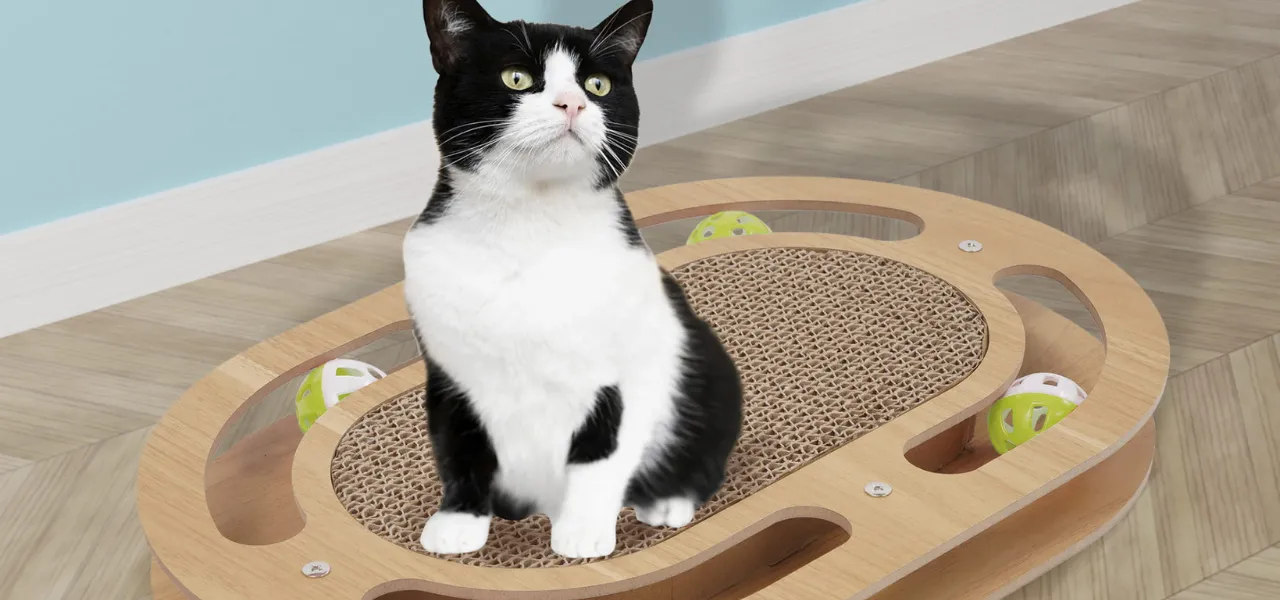 akcesoria dla kotów - drapaki w super cenach tylko w Jumi 