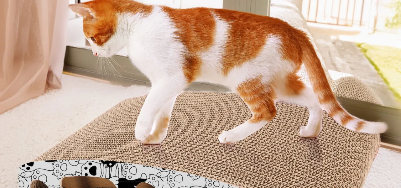 nowe drapaki dla kotów w JUMI 